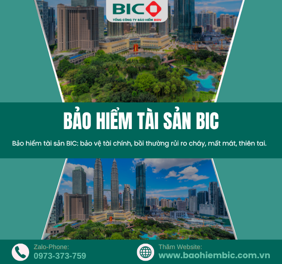 Bảo Hiểm Tài Sản BIC