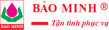 Tổng CTY Bảo Hiểm Bảo Minh - Trang Chủ